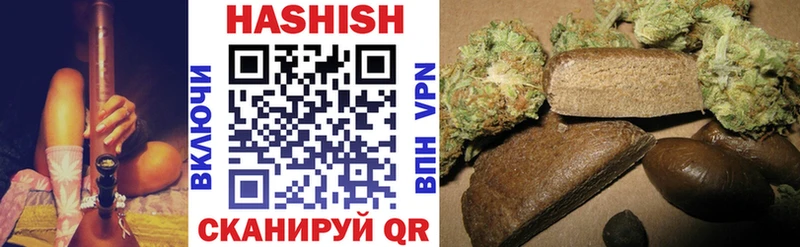 закладки  Сураж  ГАШИШ VHQ 