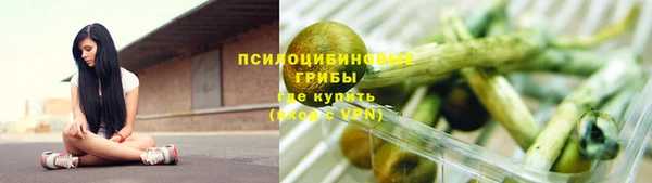 стаф Алзамай