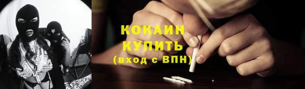 стаф Алзамай