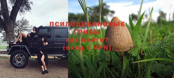 стаф Алзамай