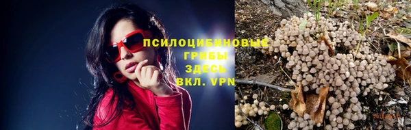 винт Алексеевка