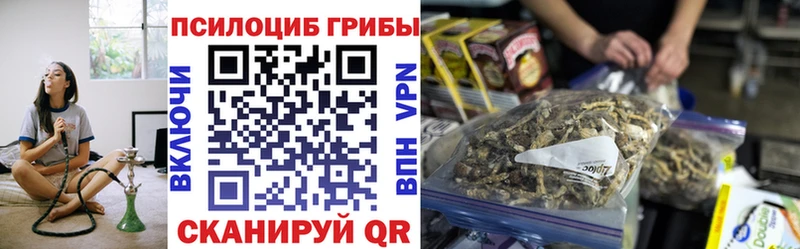 где купить наркоту  Сураж  Галлюциногенные грибы мухоморы 